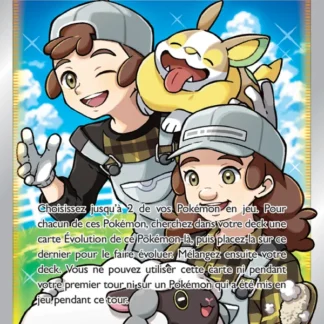Soins de l'Éleveur de Pokémon · Ténèbres Embrasées 188/189 · Near Mint