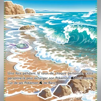 Plage de Surf · Chaos Ascendant 114/86 · Near Mint