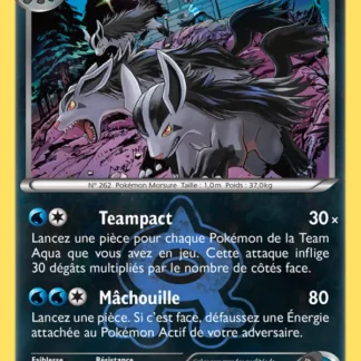 Grahyèna de la Team Aqua · Double Danger 18/34 · Excellent