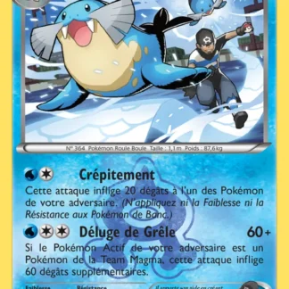 Phogleur de la Team Aqua · Double Danger 4/34 · Excellent